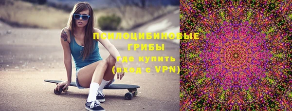 ПСИЛОЦИБИНОВЫЕ ГРИБЫ Армянск
