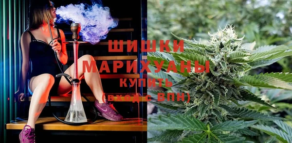 ПСИЛОЦИБИНОВЫЕ ГРИБЫ Армянск