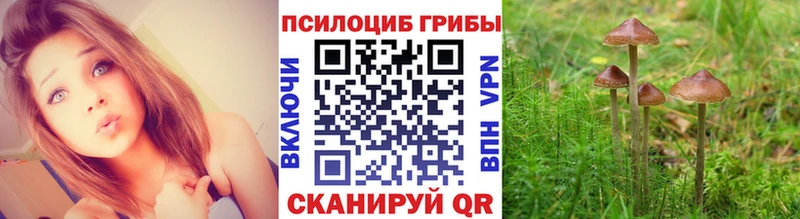 Псилоцибиновые грибы ЛСД  Спас-Клепики 
