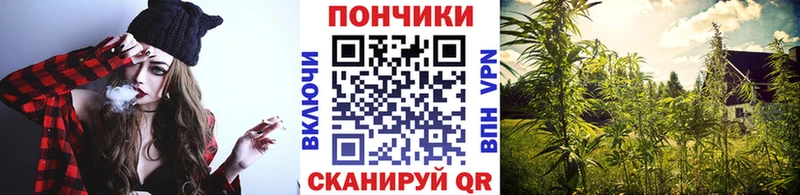 наркота  ссылка на мегу tor  Бошки Шишки Ganja  Спас-Клепики 